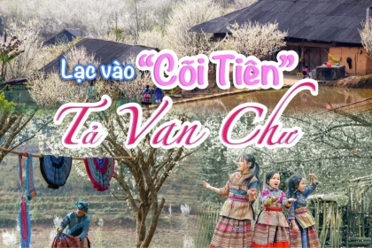Đi tìm giấc mơ mùa xuân tuyệt đẹp tại Tả Van Chư - Lào Cai Đi tìm giấc mơ mùa xuân tuyệt đẹp tại Tả Van Chư - Lào Cai