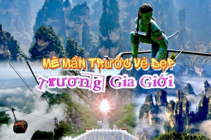 Du lịch Trương Gia Giới - Chiêm ngưỡng các kỳ quan bậc nhất thế giới Du lịch Trương Gia Giới - Chiêm ngưỡng các kỳ quan bậc nhất thế giới