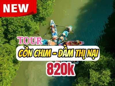 [Tour Quy Nhơn] Khám phá Cồn Chim - Đầm Thị Nại