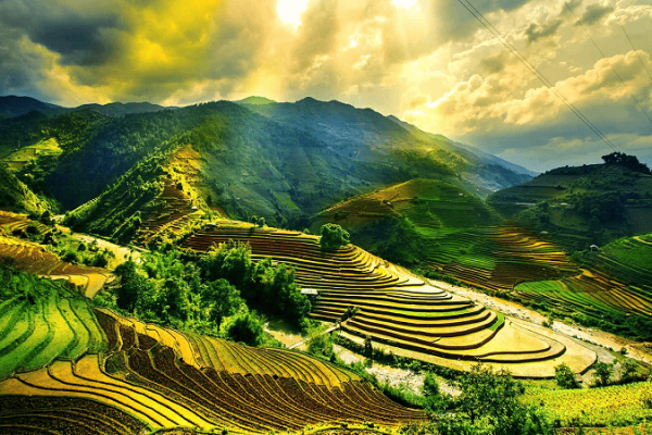 Traveling to Vietnam - What You Need to Know