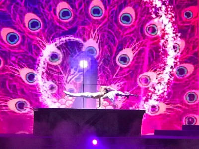 Charming Show Da Nang Cultural Experience