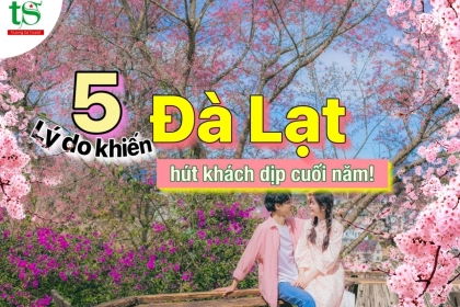 Giải mã 5 lý do khiến du lịch Đà Lạt dịp cuối năm thu hút du khách hơn bao giờ hết Giải mã 5 lý do khiến du lịch Đà Lạt dịp cuối năm thu hút du khách hơn bao giờ hết