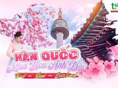 Tour Hàn Quốc 5N4Đ Mùa Hoa Anh Đào 2024 Từ Đà Nẵng Giá Tốt Tour Hàn Quốc 5N4Đ Mùa Hoa Anh Đào 2024 Từ Đà Nẵng Giá Tốt