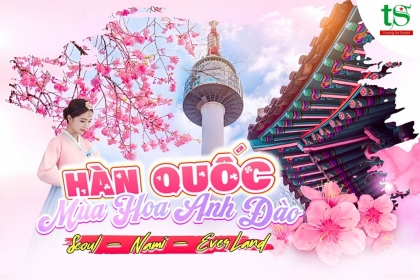 Tour Hàn Quốc 5N4Đ Mùa Hoa Anh Đào 2024 Từ Đà Nẵng Giá Tốt Tour Hàn Quốc 5N4Đ Mùa Hoa Anh Đào 2024 Từ Đà Nẵng Giá Tốt