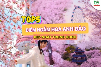 Top 5 địa điểm ngắm hoa anh đào tại Trung Quốc đẹp nhất 2025 Top 5 địa điểm ngắm hoa anh đào tại Trung Quốc đẹp nhất 2025