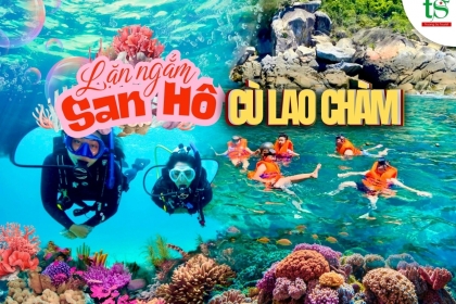 Review lặn ngắm san hô Cù Lao Chàm và những lưu ý cần biết Review lặn ngắm san hô Cù Lao Chàm và những lưu ý cần biết