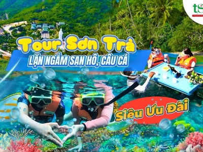 Tour Lặn Biển Ngắm San Hô Sơn Trà Khởi Hành Tại Đà Nẵng Siêu KM 2025 Tour Lặn Biển Ngắm San Hô Sơn Trà Khởi Hành Tại Đà Nẵng Siêu KM 2025