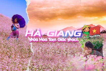 Mùa hoa tam giác mạch Hà Giang 2025: Thời điểm lý tưởng & lịch trình 3N2Đ Mùa hoa tam giác mạch Hà Giang 2025: Thời điểm lý tưởng & lịch trình 3N2Đ