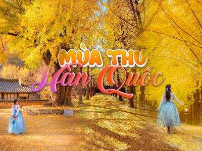 Tour Hàn Quốc mùa thu 2025 giá tốt nhất Tour Hàn Quốc mùa thu 2025 giá tốt nhất