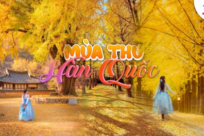 Tour Hàn Quốc mùa thu 2025 giá tốt nhất Tour Hàn Quốc mùa thu 2025 giá tốt nhất