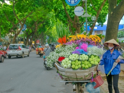 15 Days explore Viet Nam, North - Central - South