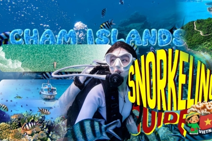 Cham Islands Snorkeling Guide: Is It Worth It? Tips, Best Time & Tours Cham Islands Snorkeling Guide: Is It Worth It? Tips, Best Time & Tours