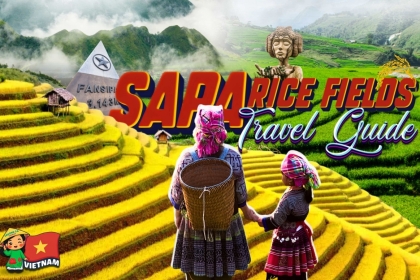 Sapa Rice Fields Travel Guide (2026): Best Time to Visit, Top Locations & Local Tips Sapa Rice Fields Travel Guide (2026): Best Time to Visit, Top Locations & Local Tips