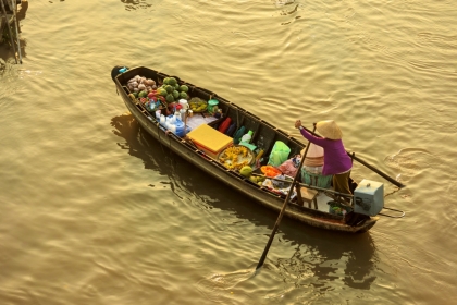 Vietnam Signature Journey: 12 Days from South to North Vietnam Signature Journey: 12 Days from South to North