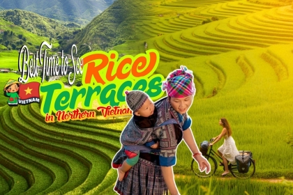 Best Time to See Rice Terraces in Northern Vietnam (2026) Best Time to See Rice Terraces in Northern Vietnam (2026)