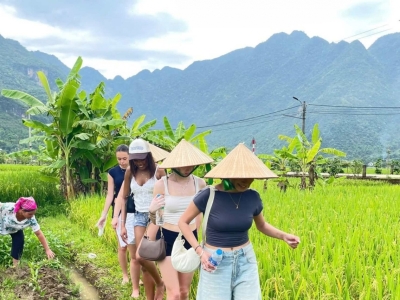 Northern Vietnam tour: Mai Chau, Pu Luong, Ninh Binh