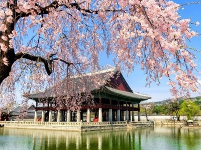 TOUR HÀN QUÔC - XỨ SỞ KIM CHI 5N4D TOUR HÀN QUÔC - XỨ SỞ KIM CHI 5N4D