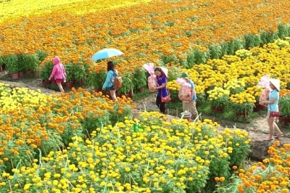 TOUR CẦN THƠ – ĐỒNG THÁP – SA ĐÉC – TRÀM CHIM 1 NGÀY TOUR CẦN THƠ – ĐỒNG THÁP – SA ĐÉC – TRÀM CHIM 1 NGÀY