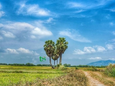 TOUR CẦN THƠ – AN GIANG – SÓC TRĂNG – BẠC LIÊU – CÀ MAU 4N3Đ TOUR CẦN THƠ – AN GIANG – SÓC TRĂNG – BẠC LIÊU – CÀ MAU 4N3Đ