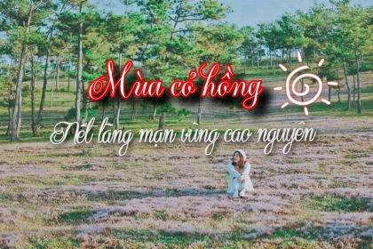MÙA CỎ HỒNG – NÉT LÃNG MẠNG VÙNG CAO NGUYÊN MÙA CỎ HỒNG – NÉT LÃNG MẠNG VÙNG CAO NGUYÊN