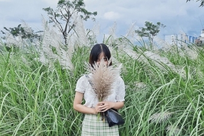 MÙA CỎ LAU ĐẾN RỒI CÙNG ĐẾN ĐÀ NẴNG THÔI!!! MÙA CỎ LAU ĐẾN RỒI CÙNG ĐẾN ĐÀ NẴNG THÔI!!!