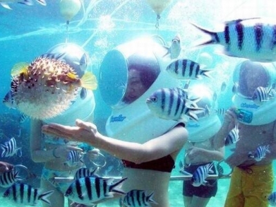 TOUR CÙ LAO CHÀM ĐÓN TẠI CẢNG CỬA ĐẠI TOUR CÙ LAO CHÀM ĐÓN TẠI CẢNG CỬA ĐẠI