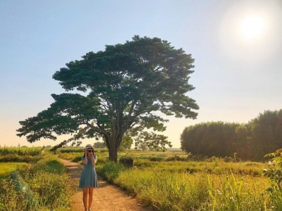 HUẾ-YESHUE ECO THÁC MƠ-ĐẠI NỘI HUẾ-TỪ HIẾU-CÂY CÔ ĐƠN-TAM GIANG HUẾ-YESHUE ECO THÁC MƠ-ĐẠI NỘI HUẾ-TỪ HIẾU-CÂY CÔ ĐƠN-TAM GIANG