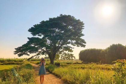 HUẾ-YESHUE ECO THÁC MƠ-ĐẠI NỘI HUẾ-TỪ HIẾU-CÂY CÔ ĐƠN-TAM GIANG HUẾ-YESHUE ECO THÁC MƠ-ĐẠI NỘI HUẾ-TỪ HIẾU-CÂY CÔ ĐƠN-TAM GIANG