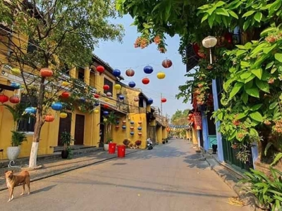 TOUR TẾT DƯƠNG LỊCH ĐÀ NẴNG 4N3Đ GIÁ RẺ
