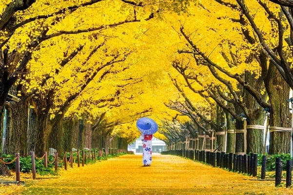 tour-nhat-ban-gia-re