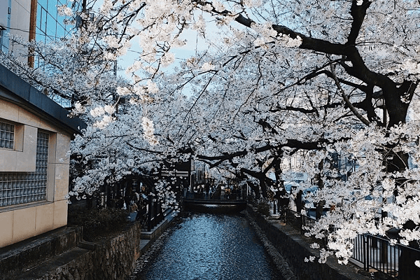 tour-nha-ban-gia-re