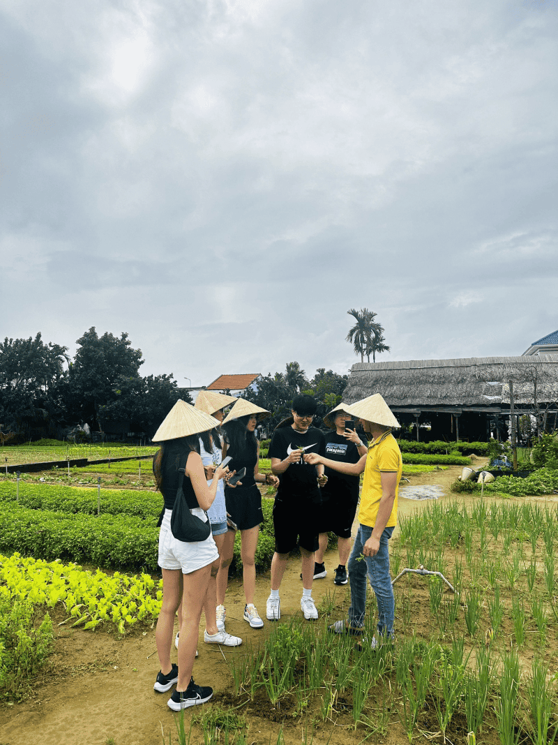 越南会安Tra Que Vegetable Village+会安古城一日游1