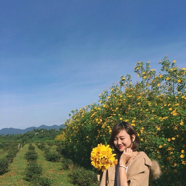 hoa-da-quy-da-lat