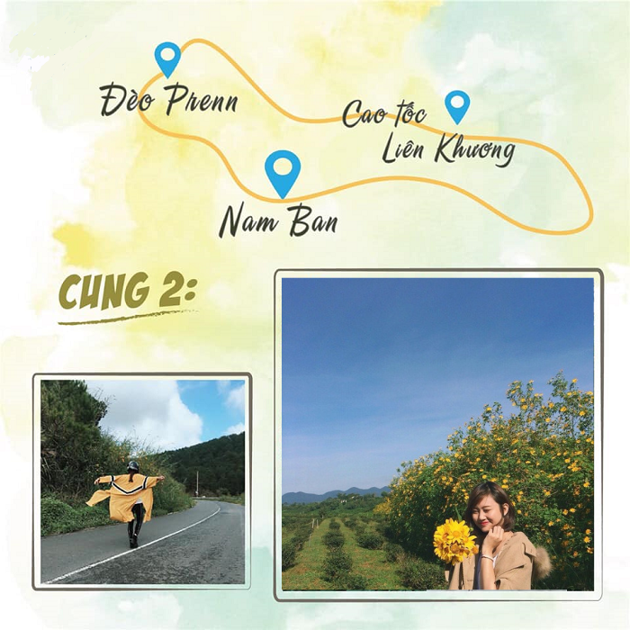 hoa-da-quy-da-lat