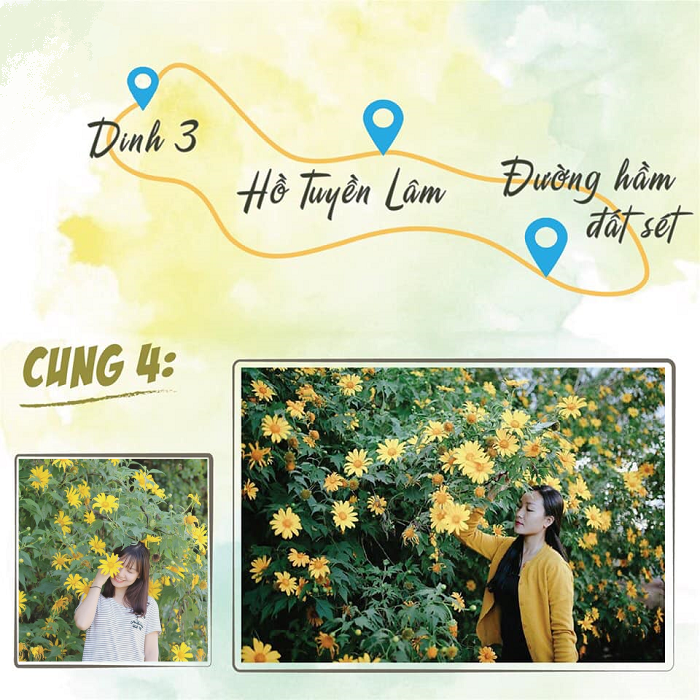 cung-duong-hoa-da-quy