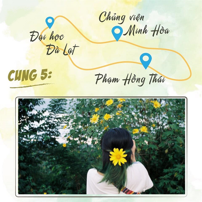 cung-duong-hoa-da-quy