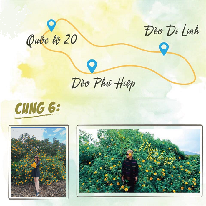 cung-duong-hoa-da-quy