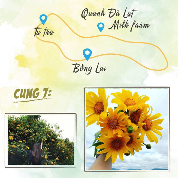 cung-duong-hoa-da-quy