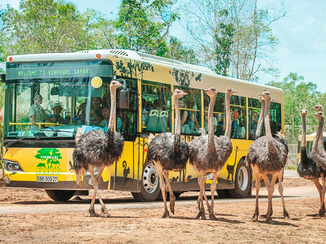 safari-phu-quoc