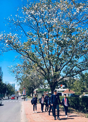 ban-trang-da-lat