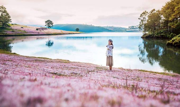 co-tuyet-da-lat