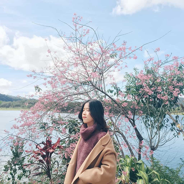 mai-anh-dao-da-lat