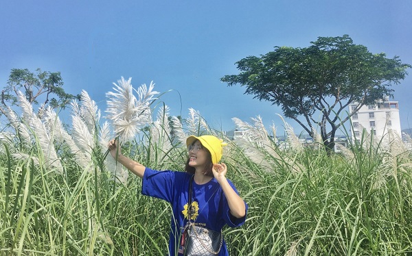 bong-co-lau-da-nang