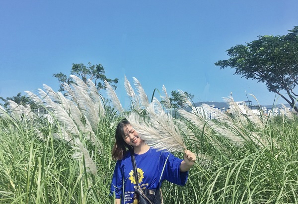 bong-co-lau-da-nang