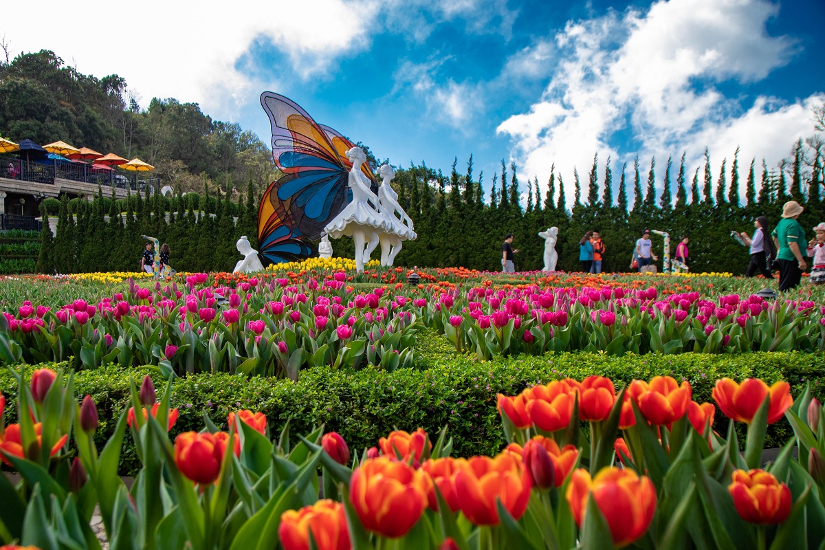 le-hoi-hoa-tulip-ba-na-hills