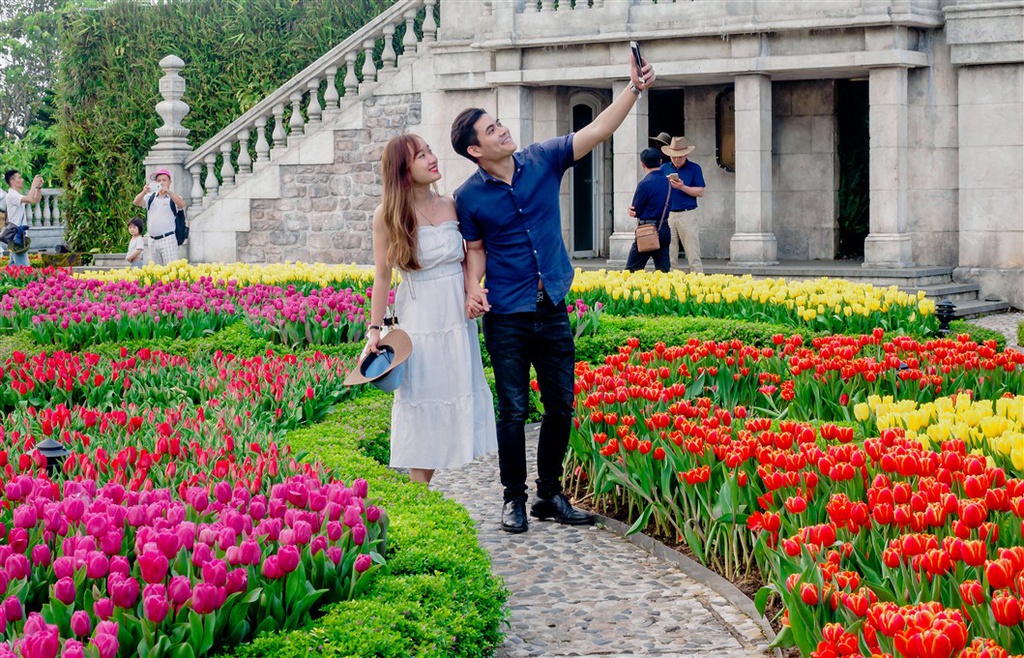 le-hoi-hoa-tulip-ba-na-hills