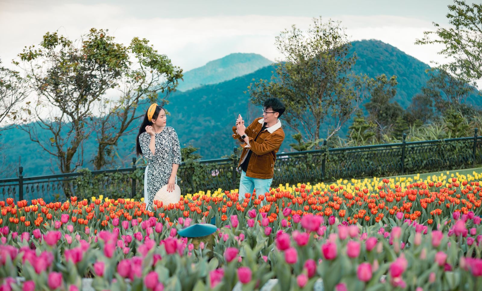 le-hoi-hoa-tulip-ba-na-hills