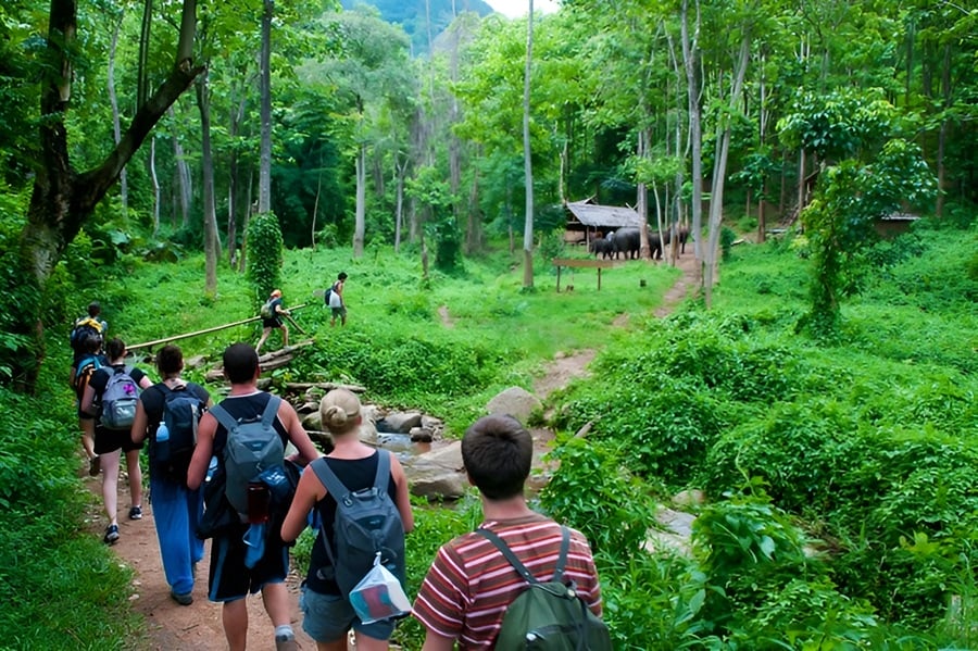 Cuc Phuong National Park