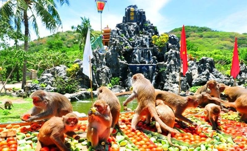 Nha Trang - tour - location