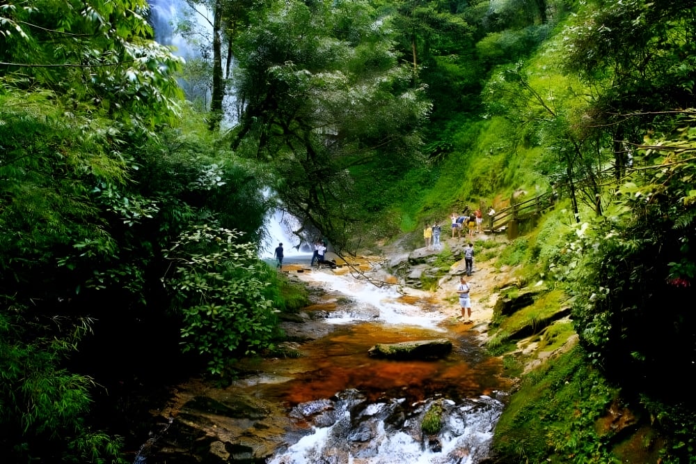 Phu Quoc National park